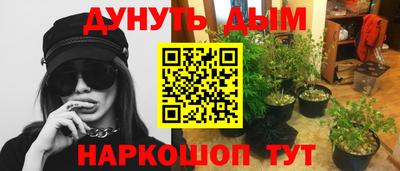 гидра Дмитров